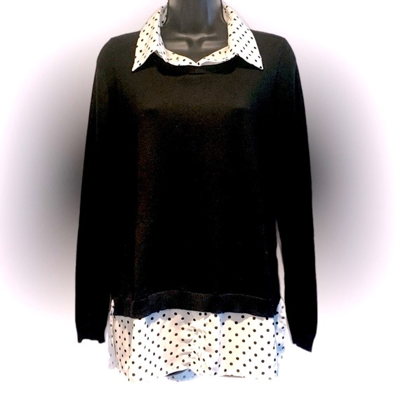 Adrianna Papell Sweaters - 5/$25 Adrianna Pappel Sweater